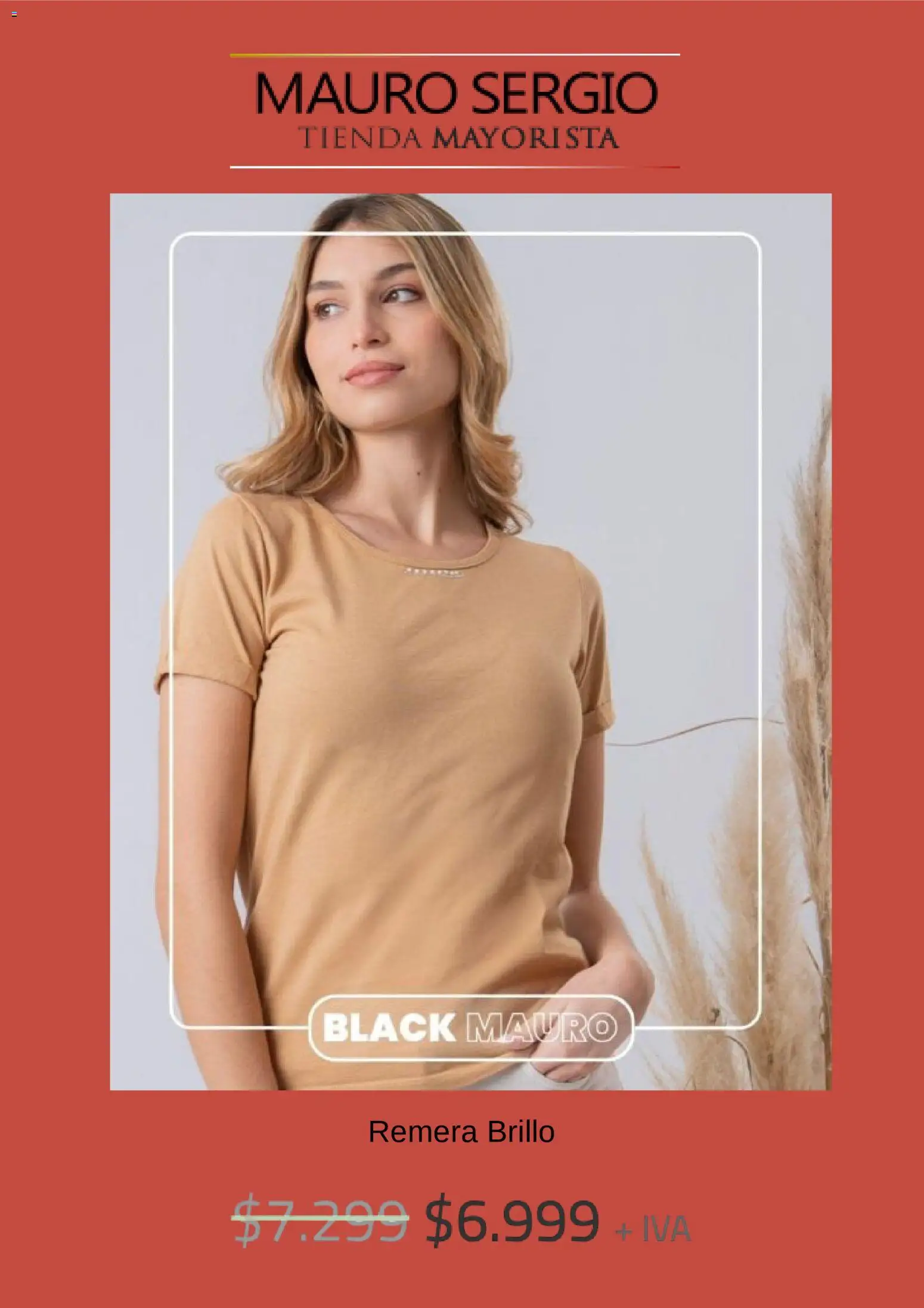 Mauro Sergio Black Friday │ válido desde el 27.11.2025 | Página: 2 | Productos: Remera, Brillo