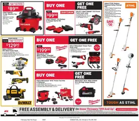 Preview of ACE Hardware weekly ads valid from 01.02.2026 | Page: 3