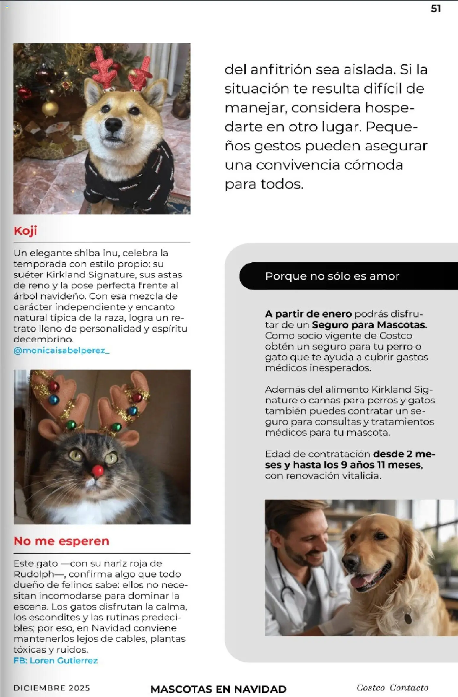 Nuevas ofertas de Costco válidas en toda la República Mexicana desde el 01.12.2025. ¡Encuentra las mejores ofertas en Costco Revista Diciembre! | Página: 51 | Productos: Suéter, Té