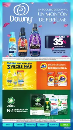 Vista previa La Anonima catálogo válido desde el 15.01.2026 | Página: 44 | Productos: Antigrasa, Perfume, Quitamanchas, Bolso