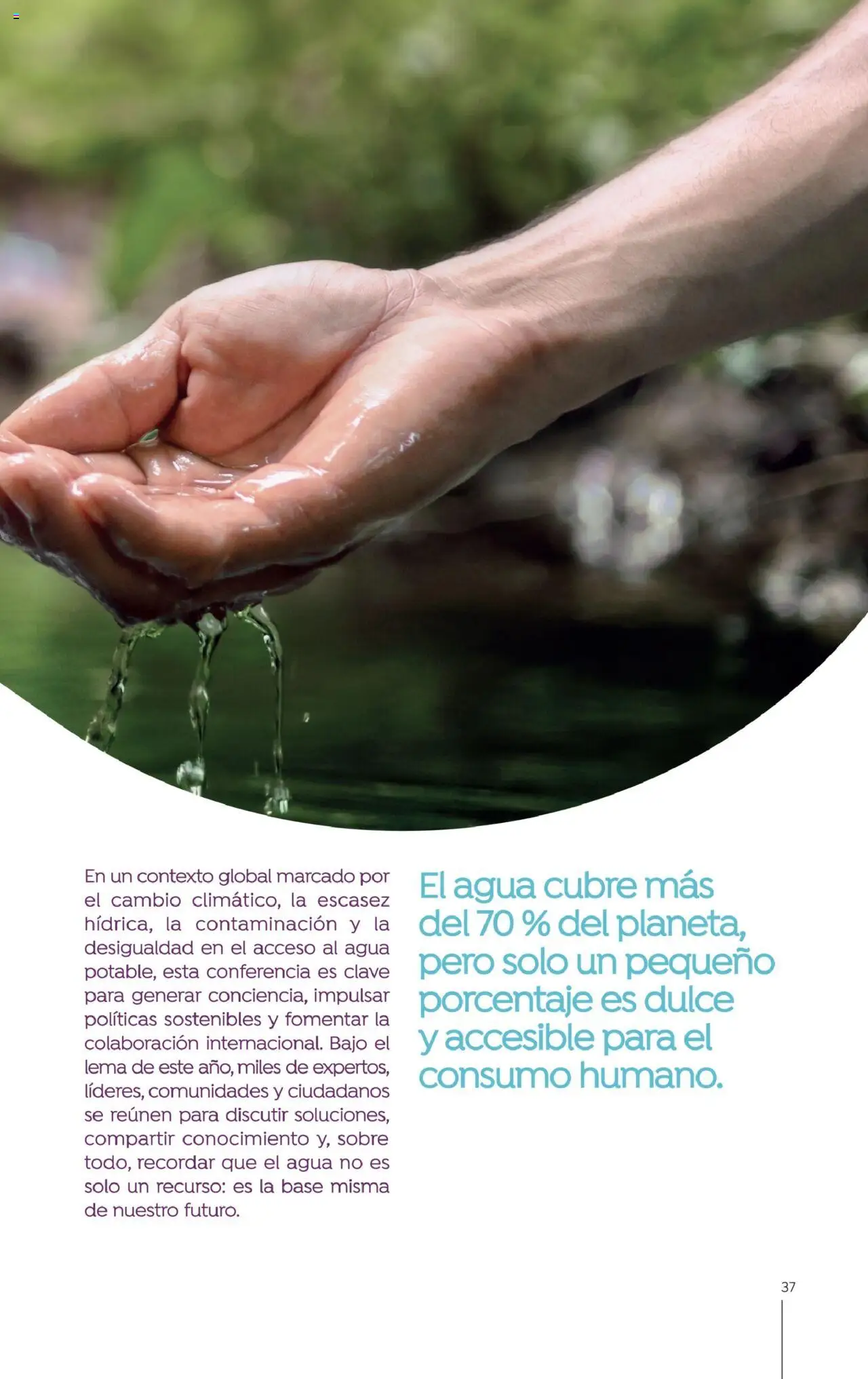 Colsubsidio revista - valida desde el 01.08.2025 | Página: 37 | Productos: Agua, Sobre