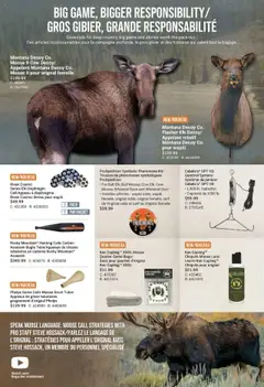 Cabelas flyer valid from 14.08.2025 | Page: 16