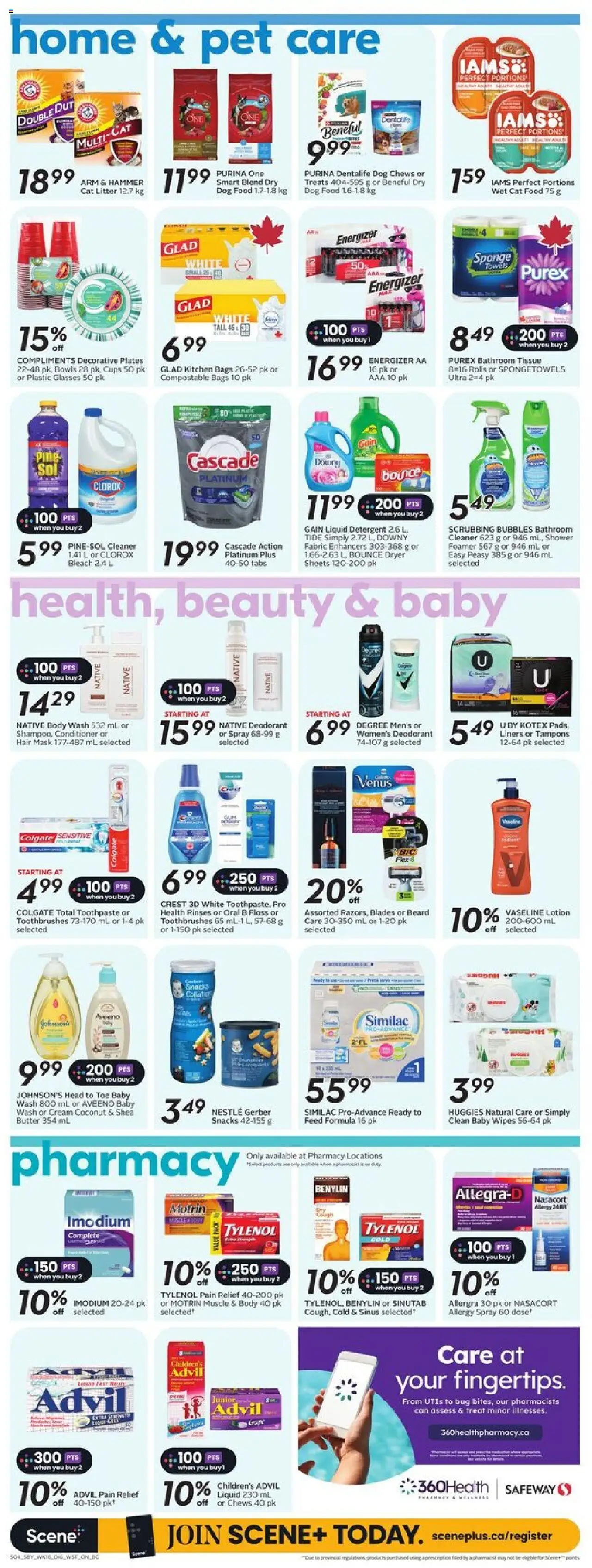 Safeway flyer valid from 14.08.2025 | Page: 13 | Products: Dryer, Sponge, Deodorant, Shower