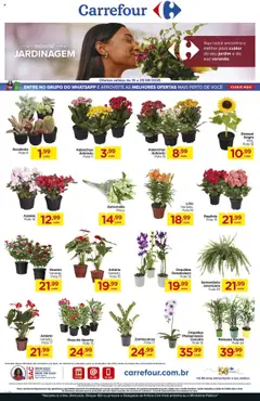 Carrefour - Ofertas Especial Jardinagem - Pré-Visualização do folheto da loja Carrefour, válido de 19.09.2025