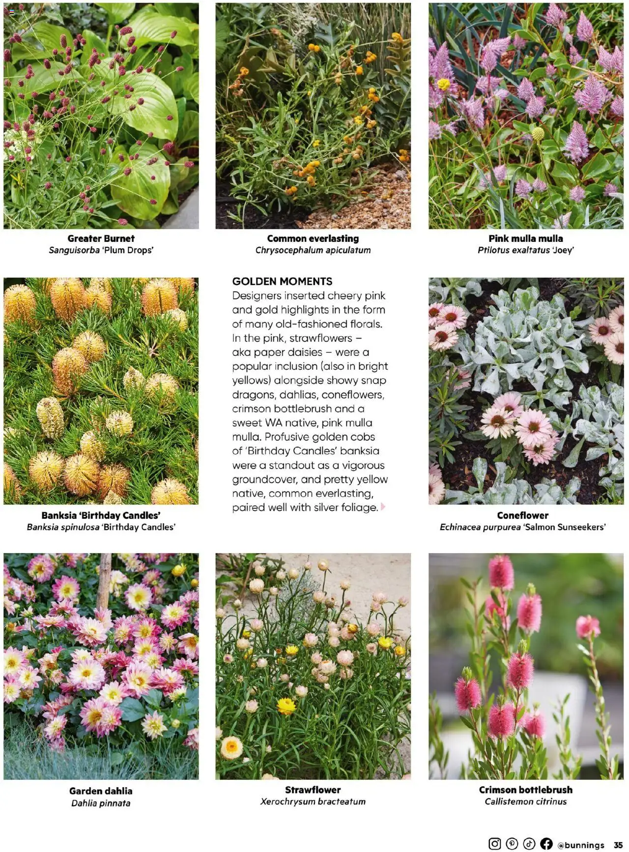 Bunnings Warehouse catalogue - valid from 01.08.2025 | Page: 35