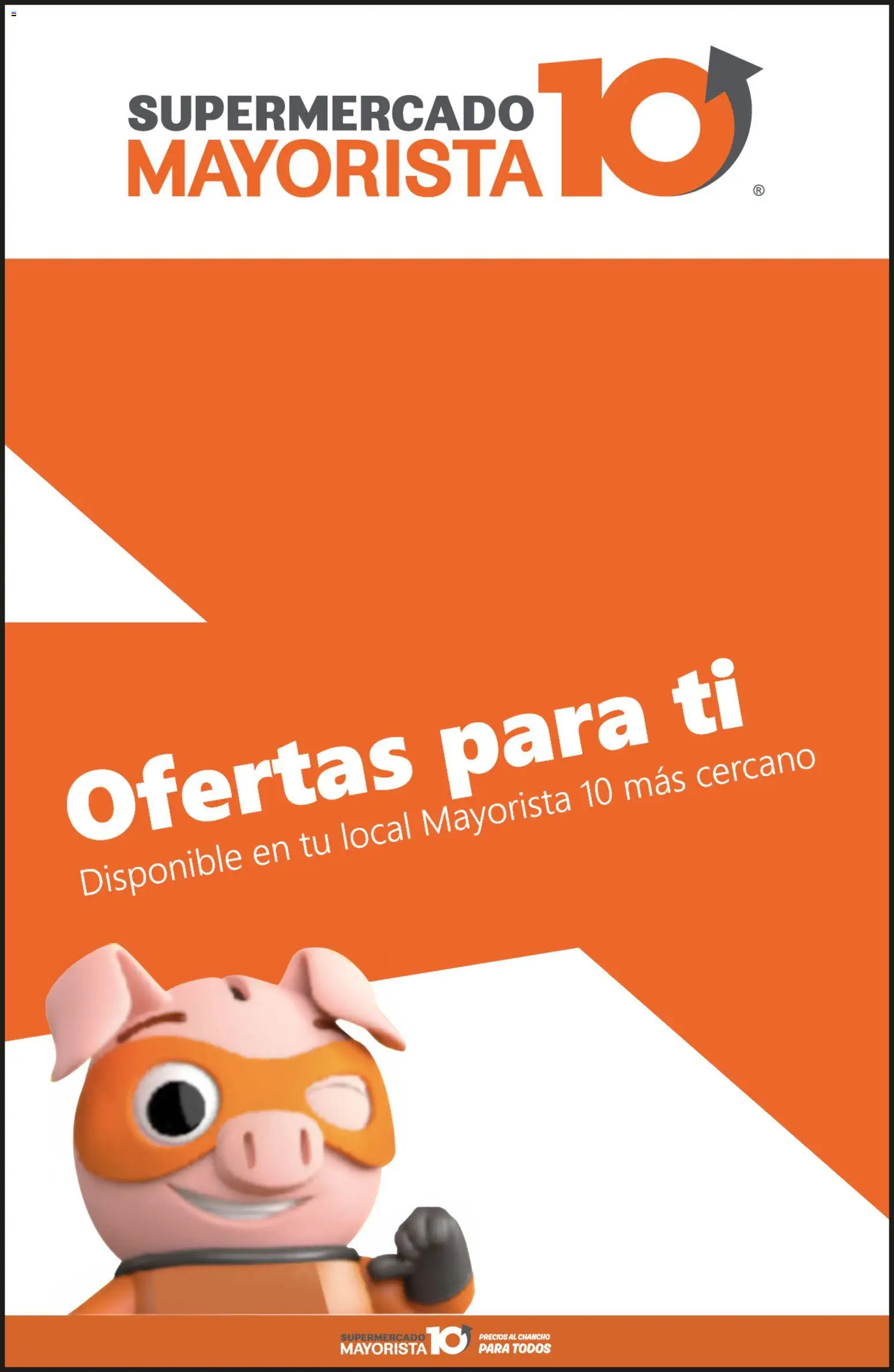 Mayorista 10 Ofertas  │ válido desde el 16.04.2026 | Página: 1
