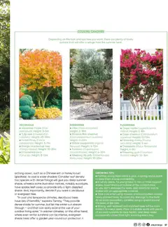 Preview of Catalogue Bunnings Warehouse October - valid from 01.10.2025 | Page: 37