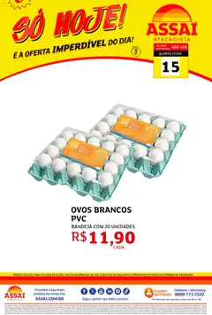 Assaí Atacadista ofertas - GO - Pré-Visualização do folheto da loja Assaí Atacadista, válido de 15.04.2026
