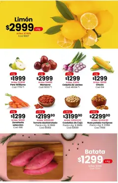 Vista previa Coto - Ofertas Carnes, válido desde el 30.03.2026 | Página: 3