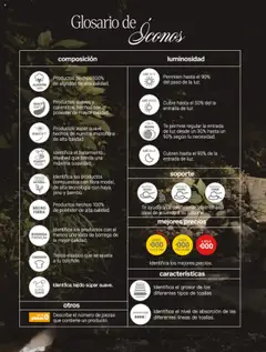 Vista previa de Vianney catálogo Primavera, nuevo folleto de la tienda, válido en México a partir del 07.03.2025 | Página: 266