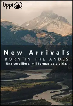 Lippi ofertas  válido desde el 20.10.2025