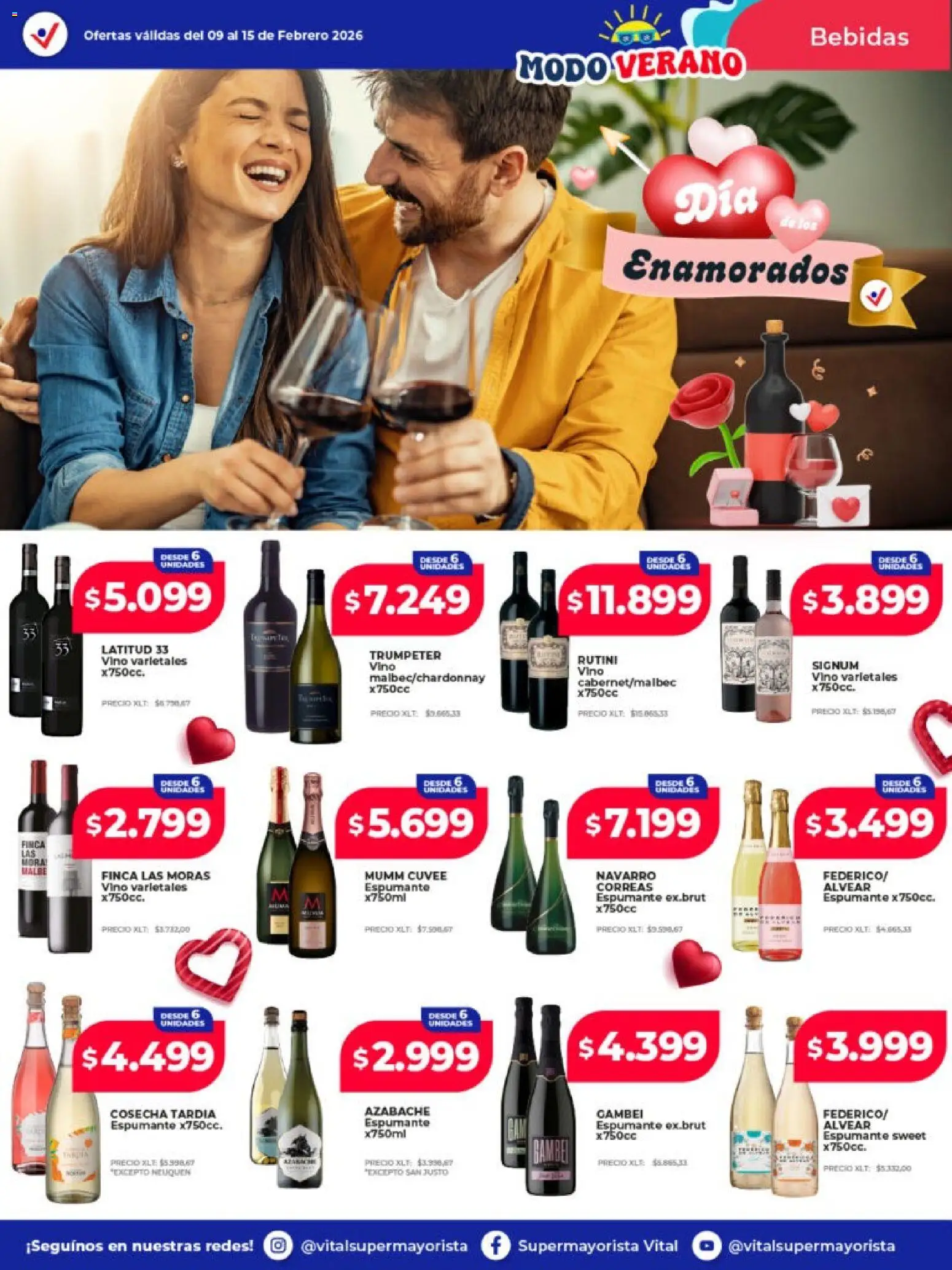 Vital - Ofertas │ válido desde el 09.02.2026 | Página: 13