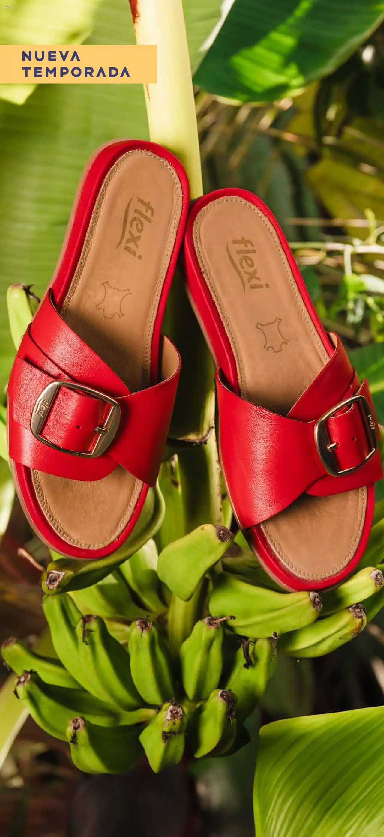 Nuevas ofertas de SC Pakar válidas en toda la República Mexicana desde el 14.04.2025. ¡Encuentra las mejores ofertas en SC Pakar catálogo Flexi! | Página: 42