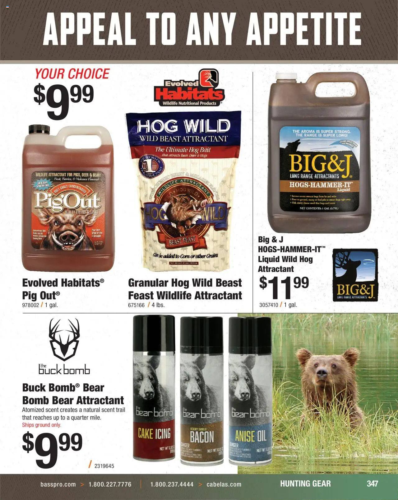 Cabela's Hunting Master 25 - valid from 11.08.2025 | Page: 347 | Products: Cheese, Oil, Weight, Bait