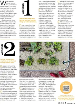 Preview of Catalogue Bunnings Warehouse December  - valid from 01.12.2025 | Page: 45