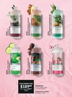 Vista previa de 2 en 1 shampoo y acondicionador aloe y macadamia suavidad e hidratación, 2 en 1 shampoo y acondicionador aloe y macadamia suavidad e hidratación, nuevo folleto de la tienda, válido en México a partir del 13.03.2026 | Página: 196 | Productos: Aceite, Aguacate, Chocolate, Almendra