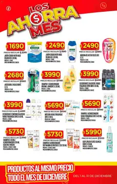 Vista previa Dia - Ofertas - Excluye Salta y Jujuy válido desde el 03.12.2025 | Página: 38