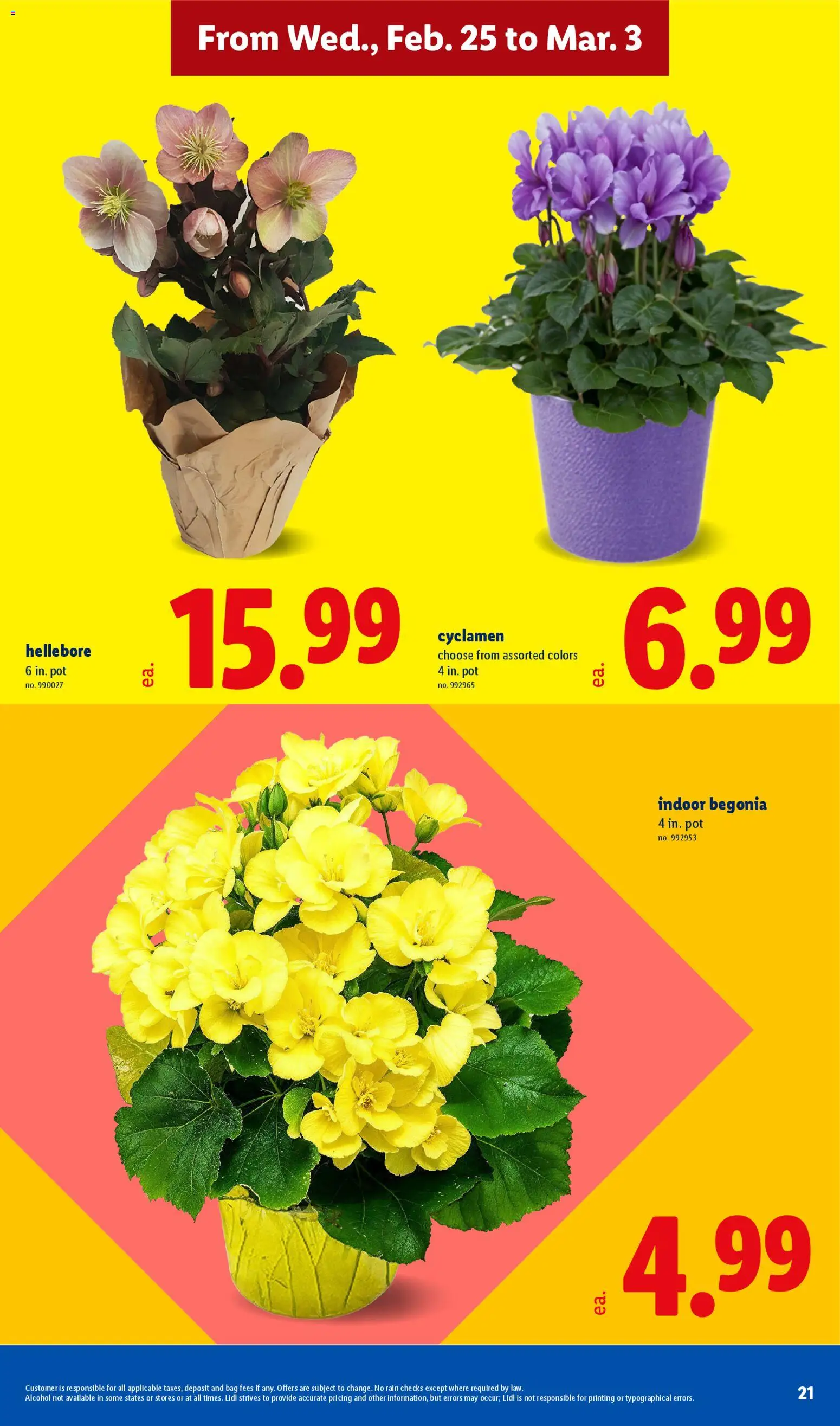 Lidl Weekly Ad - valid from 25.02.2026 | Page: 21 | Products: Bag