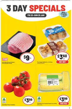 Preview of IGA - 3 Day Specials SA - valid from 23.01.2026
