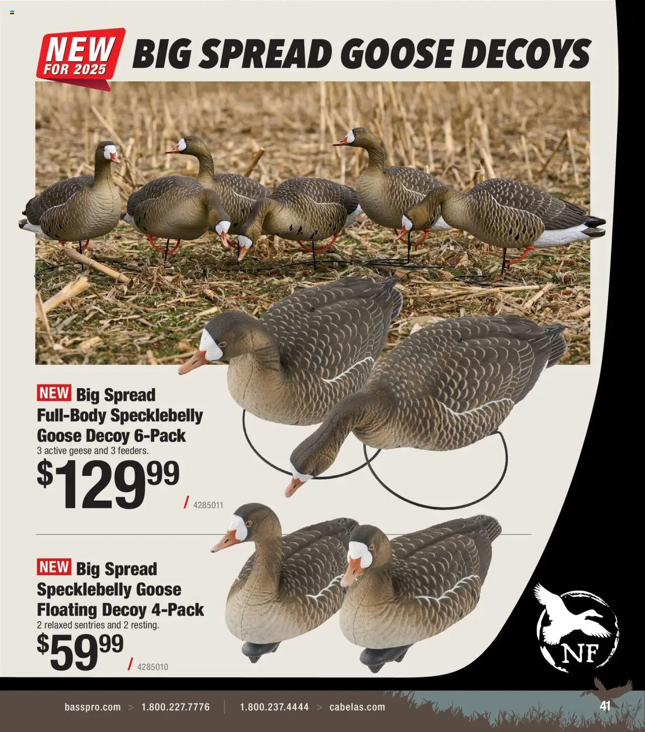 Cabela's Waterfowl 25 - valid from 01.10.2025 | Page: 41
