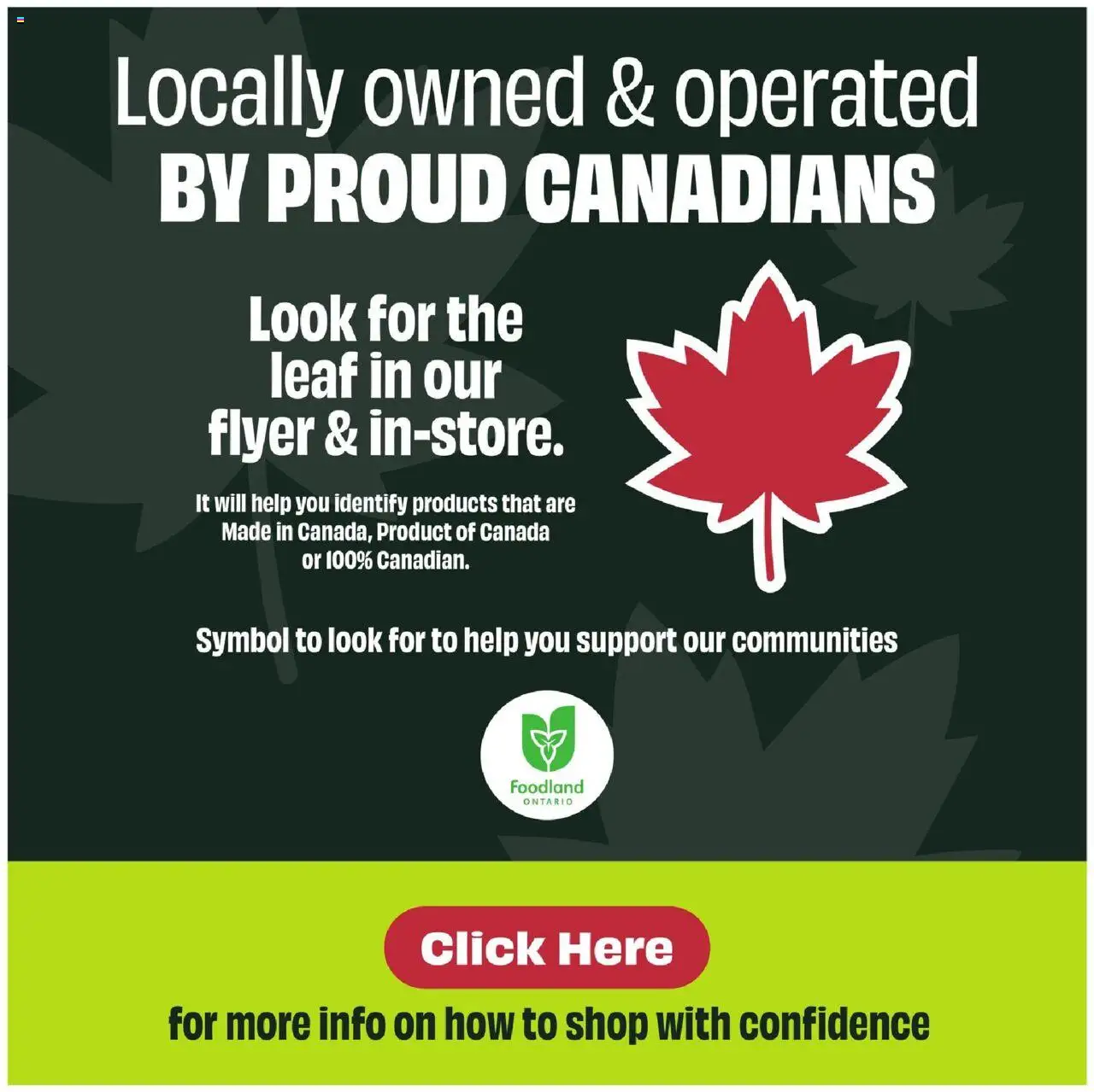 FreshCo flyer valid from 31.07.2025 | Page: 2