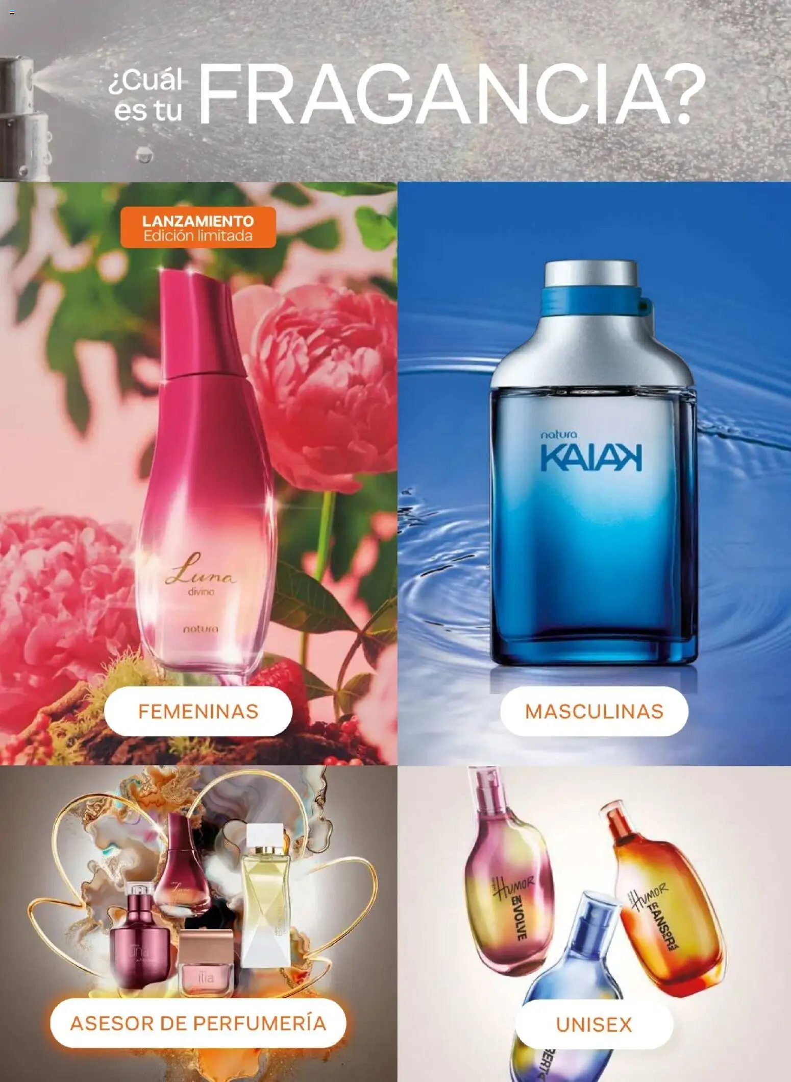 Catálogo Natura válido desde 31.03.2026 | Página: 36 | Productos: Fragancia