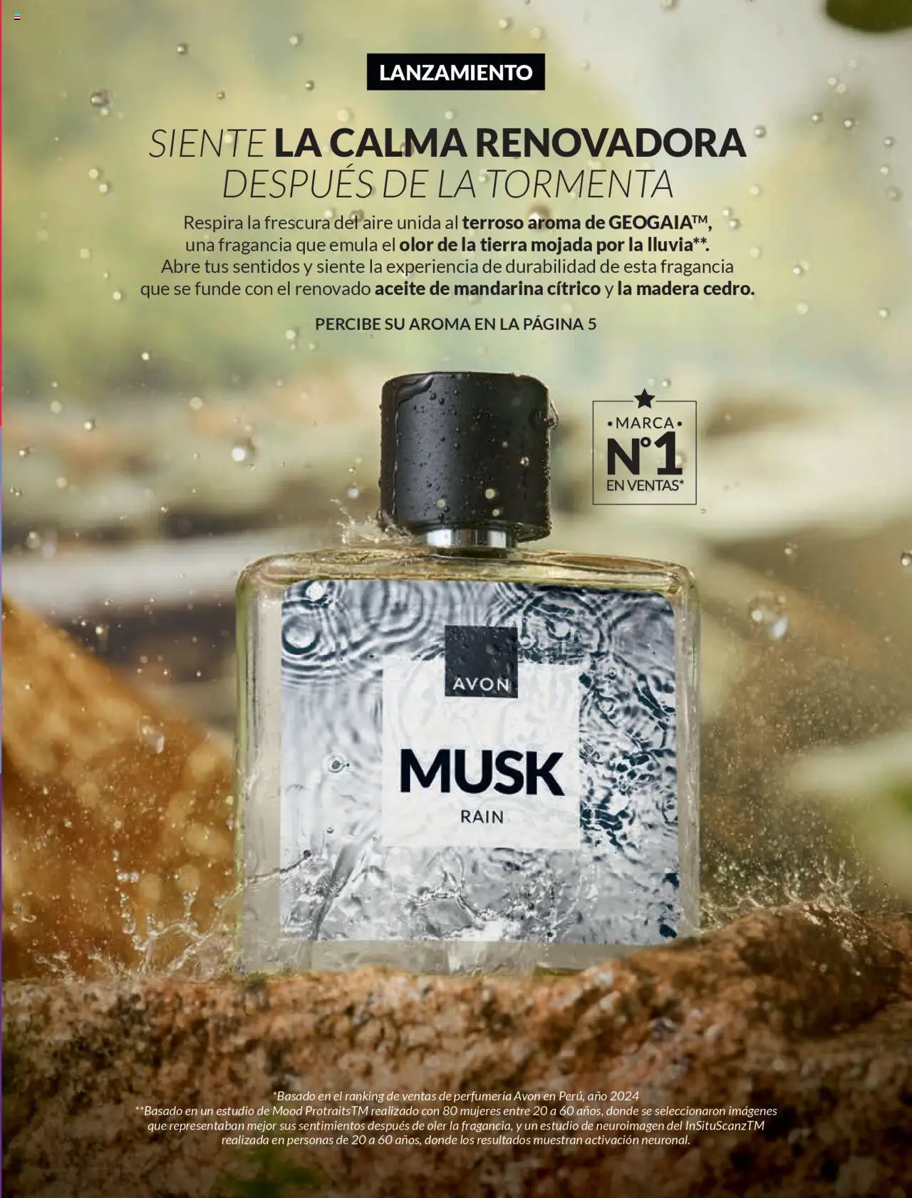 Catálogo Avon válido desde 11.08.2025 | Página: 6 | Productos: Aceite, Fragancia