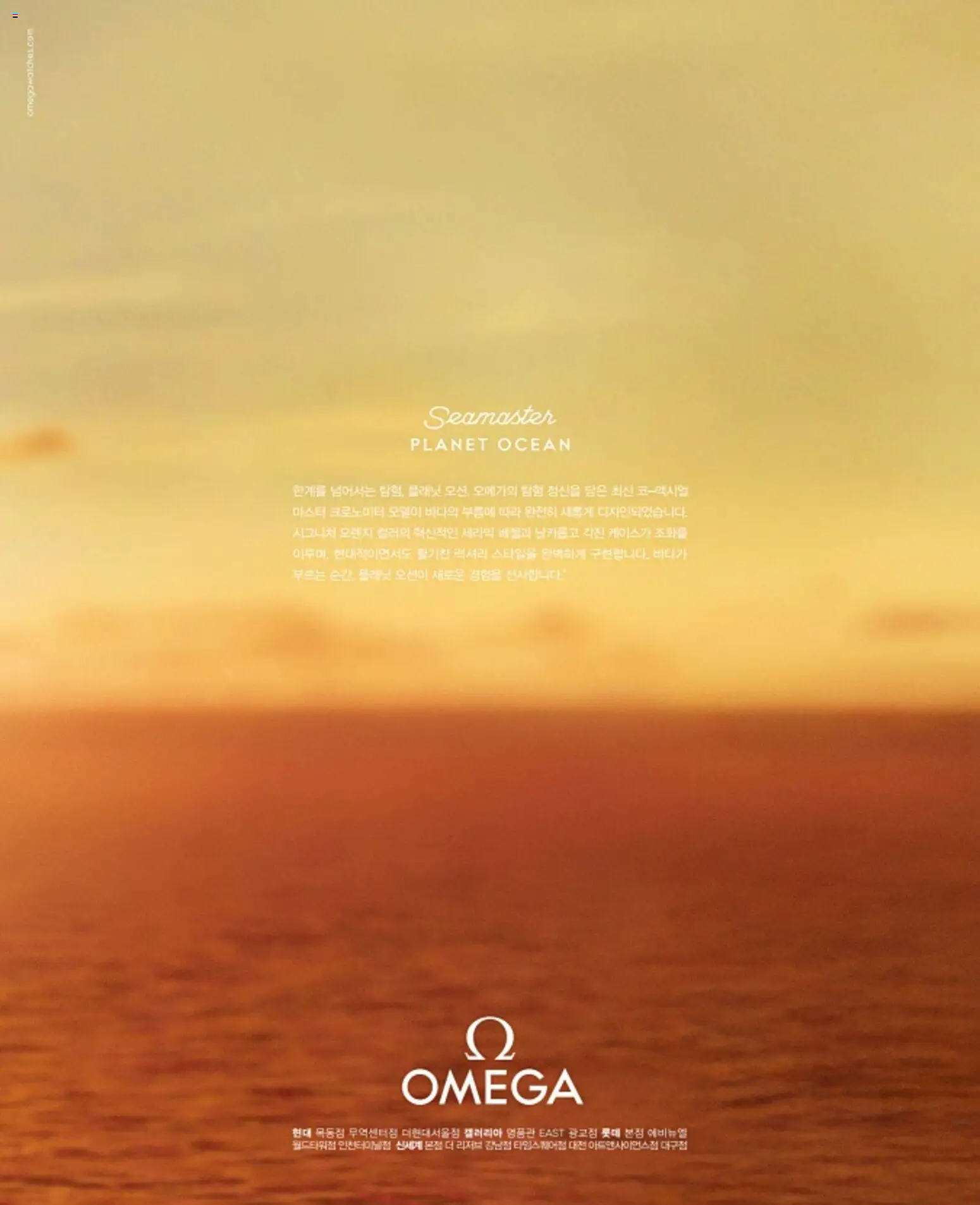  | 페이지: 13 | 상품: 오렌지