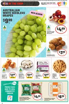 Preview of IGA  Catalogue  - valid from 17.12.2025 | Page: 11