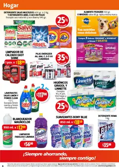 Vista previa de Farmacia Guadalajara catálogo, nuevo folleto de la tienda, válido en México a partir del 15.03.2026 | Página: 6