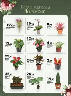 Zaffari ofertas Bazar Volta ao Lar - SP - Pré-Visualização do folheto da loja Zaffari, válido de 05.03.2026 | Página: 10 | Produtos: Manjericão, Vaso