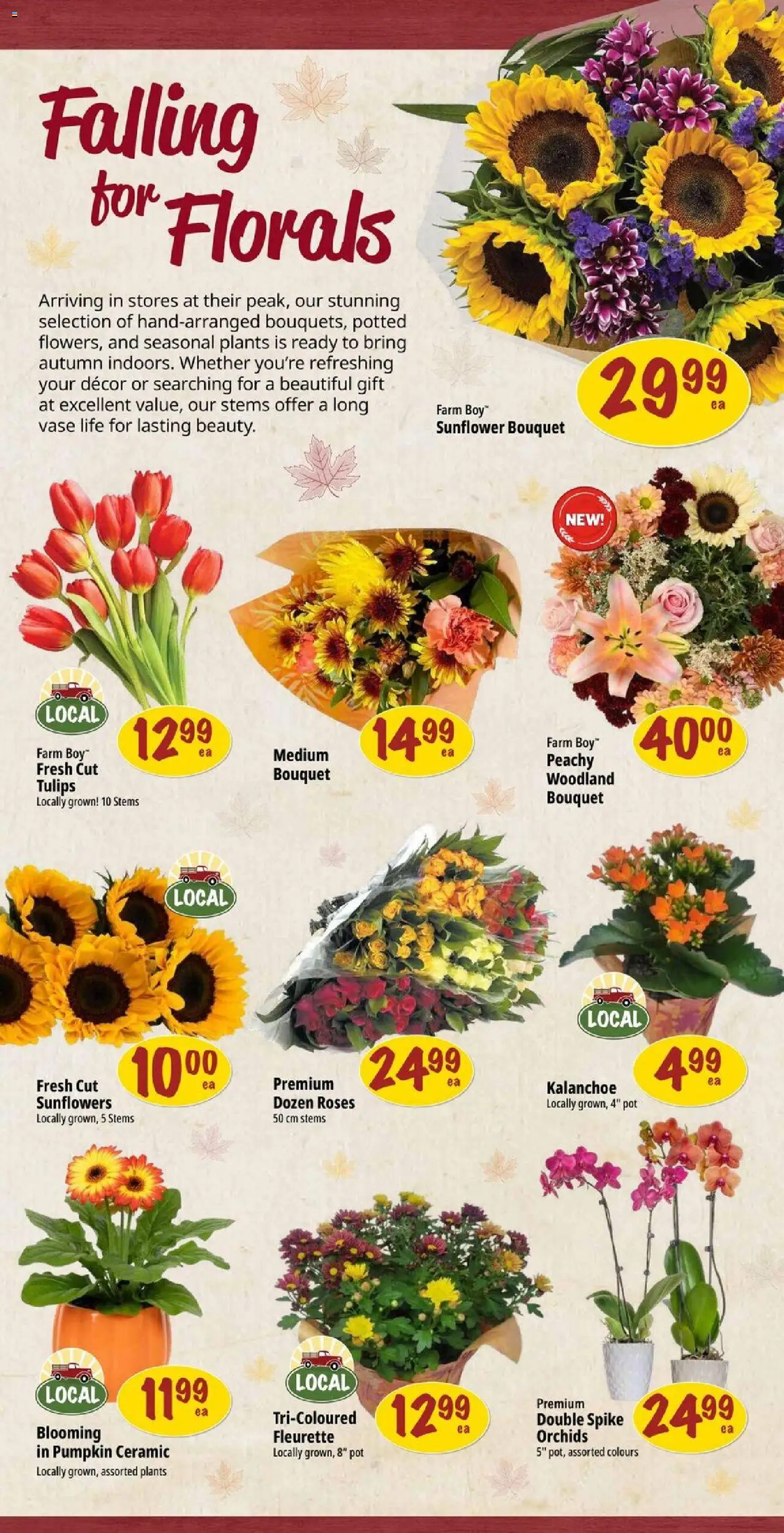 Farm Boy flyer valid from 09.10.2025 | Page: 8 | Products: Vase, Pumpkin