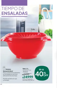 Vista previa Tupperware Folleto válido desde el 09.12.2025 | Página: 45 | Productos: Bowl, Heladera