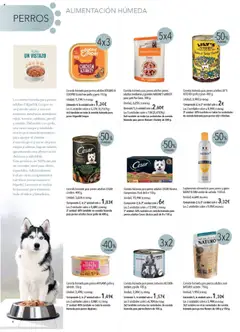 Vista previa de El Corte Inglés - Catálogo Mascotas Octubre, nuevo folleto de la tienda, válido en México a partir del 01.10.2025 | Página: 4 | Productos: Aceite, Arándanos, Cocina, Body