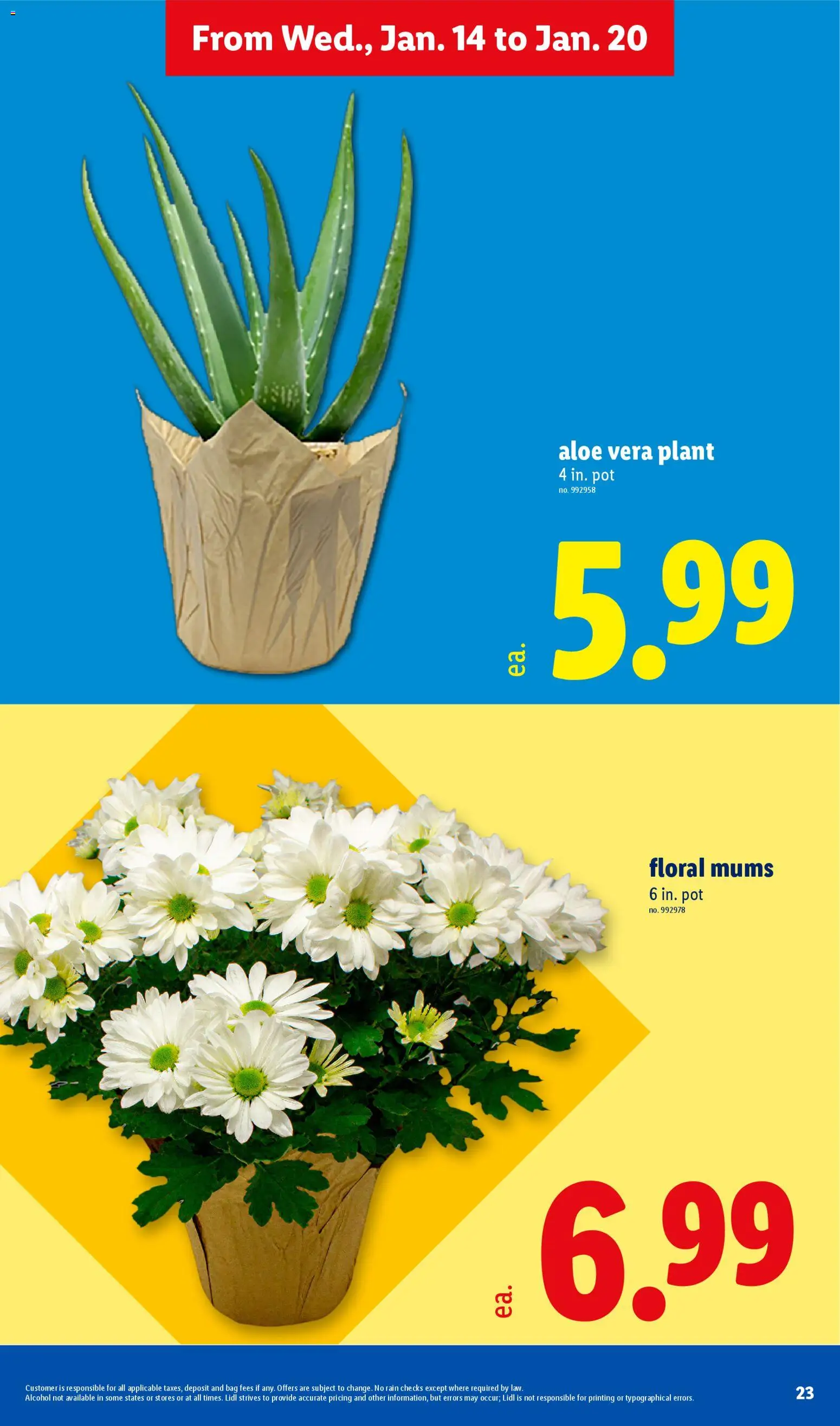 Lidl Weekly Ad - valid from 14.01.2026 | Page: 23 | Products: Aloe Vera, Bag