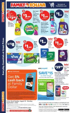 Family Dollar Weekly Ad - valid from 24.08.2025 | Page: 10 | Products: Picker, Battery, Fabric softener, Camera