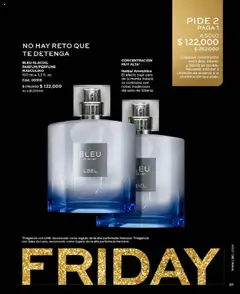 L'Bel - C16/2025 -  Vista previa de la revista de la tienda L'Bel valido desde el 24.09.2025 | Página: 87 | Productos: Té, Fragancia, Combinación