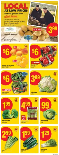 No Frills flyer valid from 31.07.2025 | Page: 3 | Products: Potatoes, Bag, Basket, Tomatoes