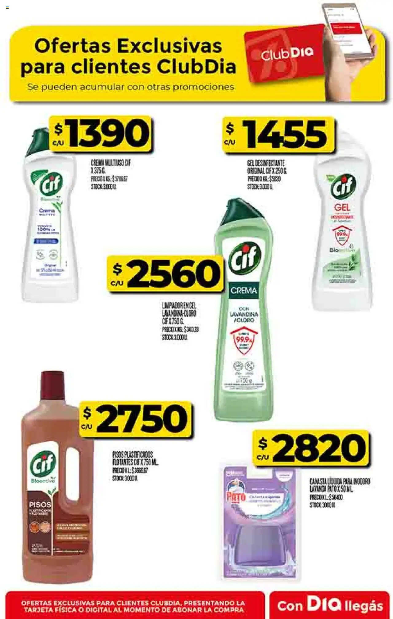 Supermercado DIA Ofertas │ válido desde el 13.08.2025 | Página: 49 | Productos: Desinfectante, Lavandina, Inodoro, Canasta