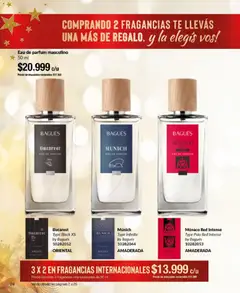 Vista previa Bagués - Catálogo válido desde el 17.11.2025 | Página: 24 | Productos: Té