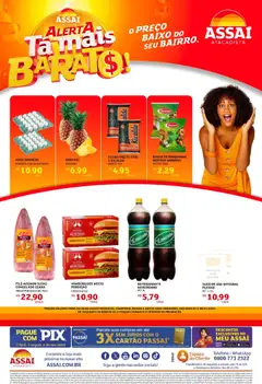 Encarte Assaí Atacadista - RJ - Pré-Visualização do folheto da loja Assaí Atacadista, válido de 07.11.2025
