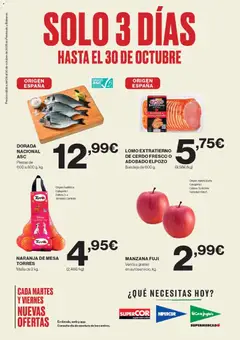 Vista previa de El Corte Inglés catálogo, nuevo folleto de la tienda, válido en México a partir del 28.10.2025