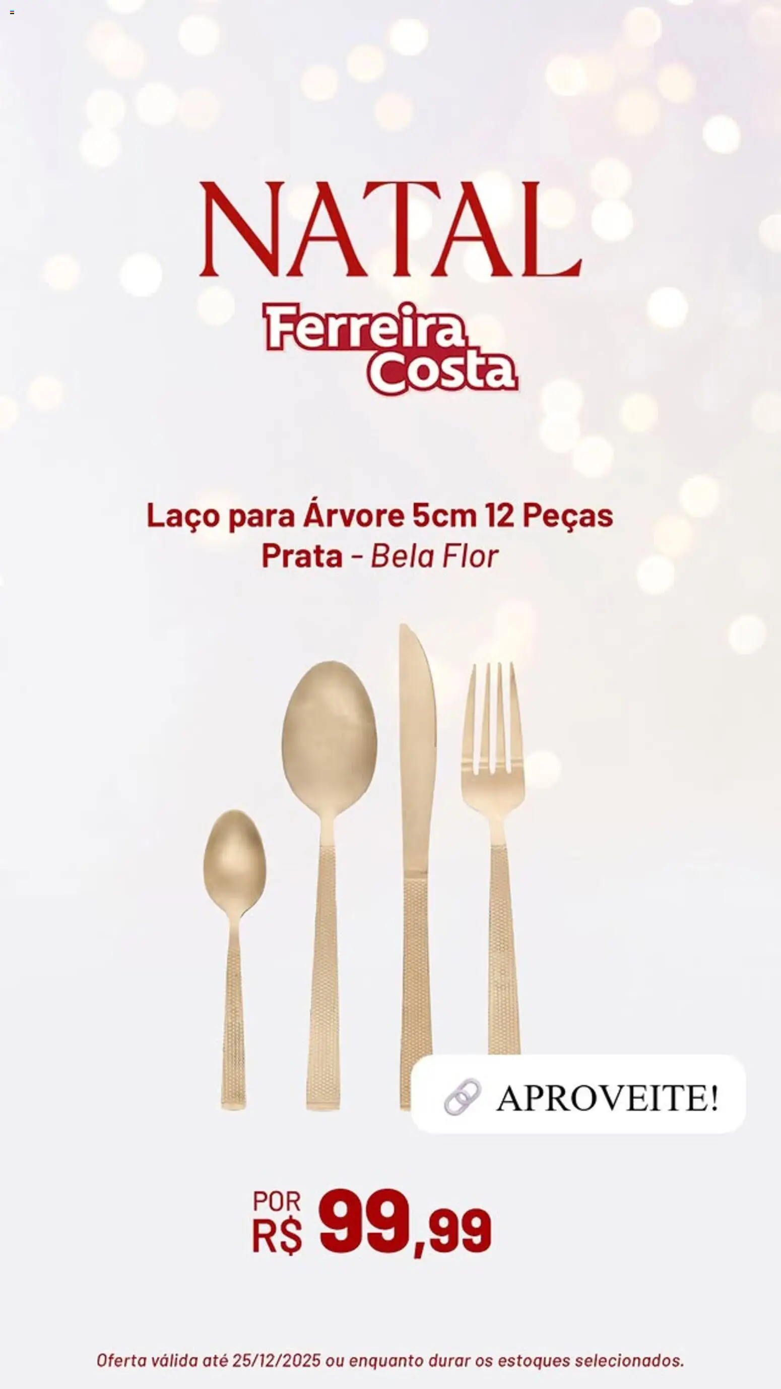 Ferreira Costa Folheto - válido de 09.12.2025 | Página: 2