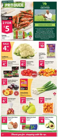 Co-op Food flyer valid from 17.07.2025 | Page: 3 | Products: Salad, Apples, Tomatoes