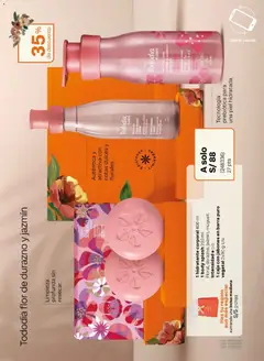 Vista previa de folleto Natura catálogo  - Ciclo 7 de la Natura válido desde 31.03.2026 | Página: 19