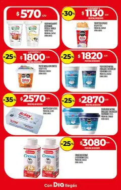 Vista previa Supermercado DIA Ofertas válido desde el 29.10.2025 | Página: 11