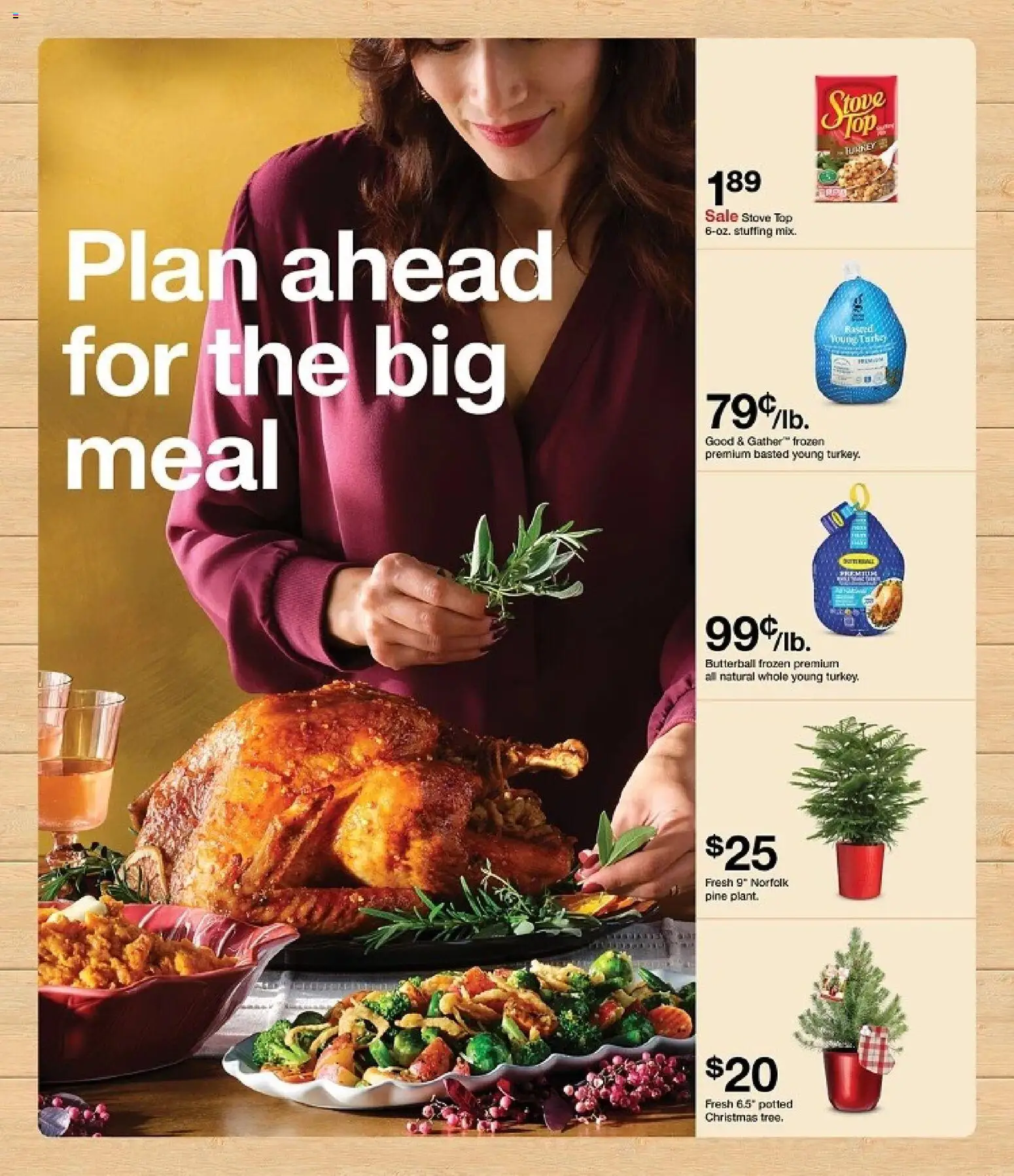 Target Weekly Ad - valid from 09.11.2025 | Page: 27 | Products: Stove