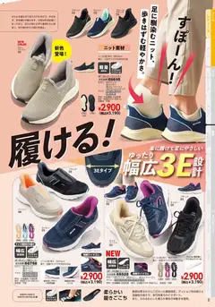 13.02.2026から有効なオファーを含む ヒラキ - チラシ | ページ: 9