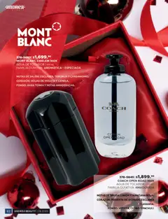 Vista previa de Andrea catálogo Beauty, nuevo folleto de la tienda, válido en México a partir del 31.10.2025 | Página: 62 | Productos: Pimienta, Manzana, Agua, Limón