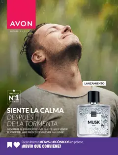 Vista previa de folleto Avon - Ciclo 13 de la Avon válido desde 11.08.2025